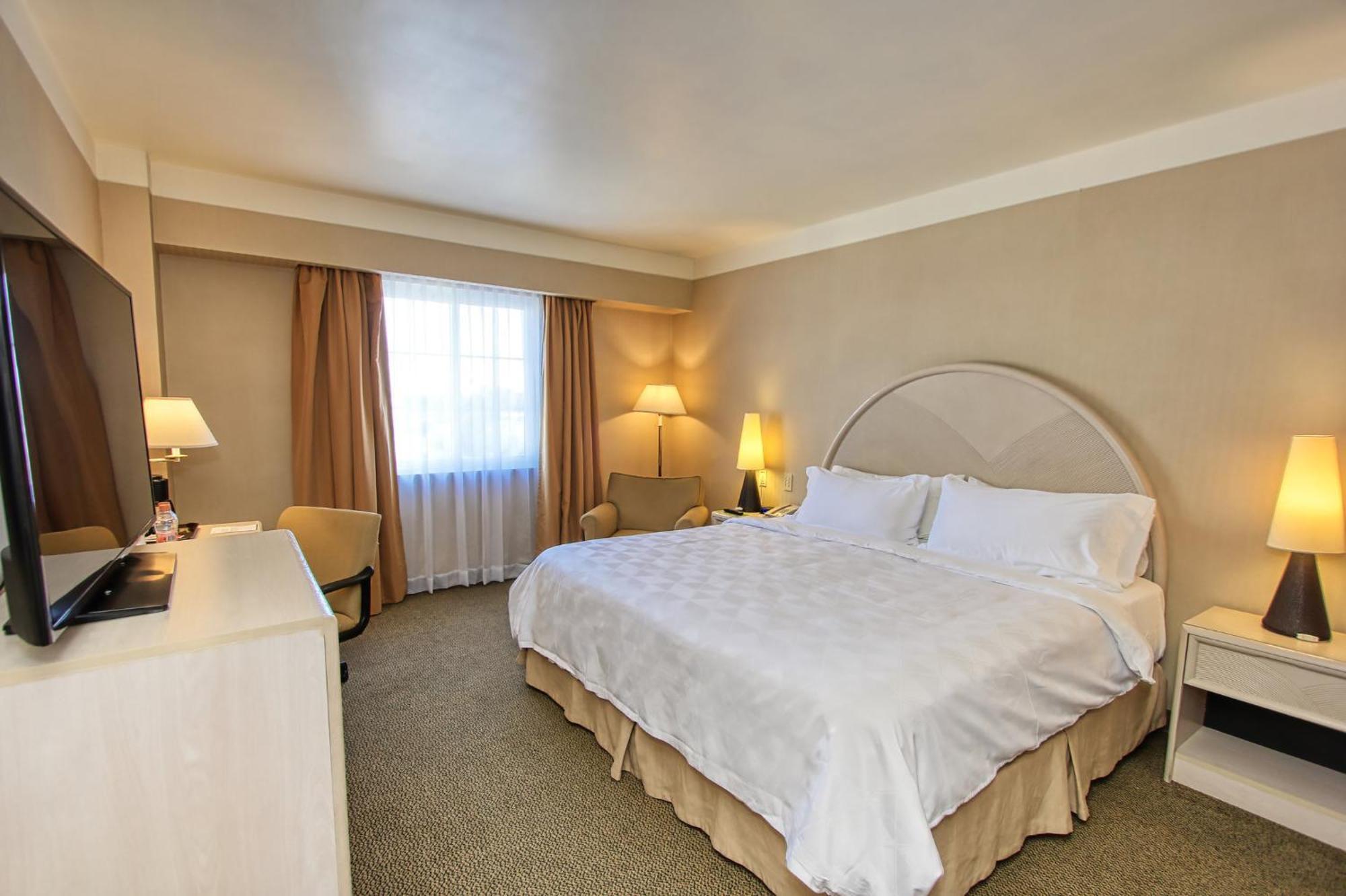 Holiday Inn Leon-Convention Center By Ihg Eksteriør billede